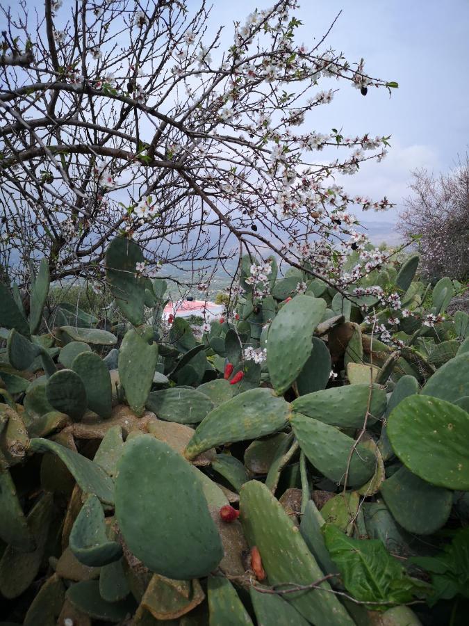 Casa Opuntia Villa Pappaygiannades Eksteriør billede