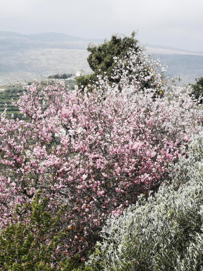 Casa Opuntia Villa Pappaygiannades Eksteriør billede
